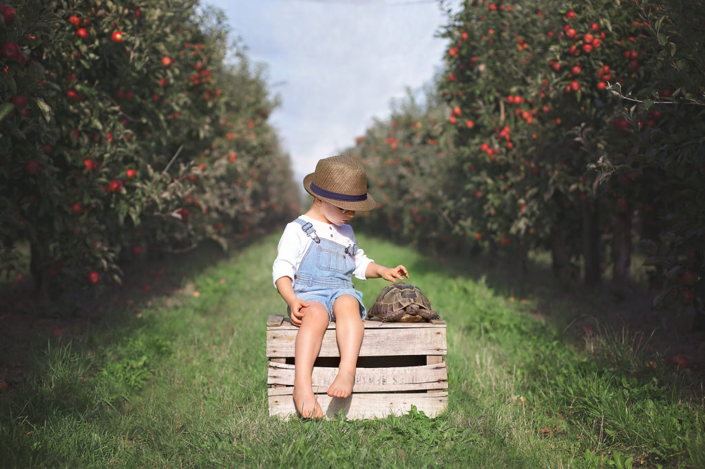 photographe-enfants-animaux-haute-couture-sur-mesure