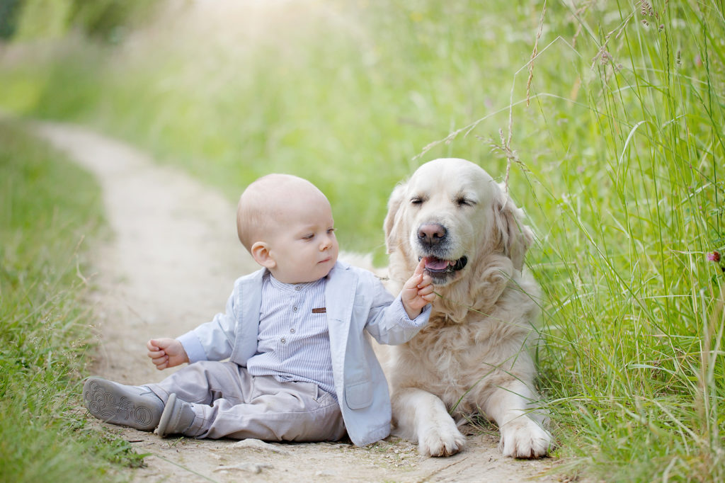 photographes-enfant-animaux-seance-haute-couture-sur-mesure