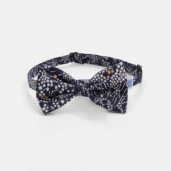 photographe-naissance-paris-noeud-papillon-bleu-or-liberty